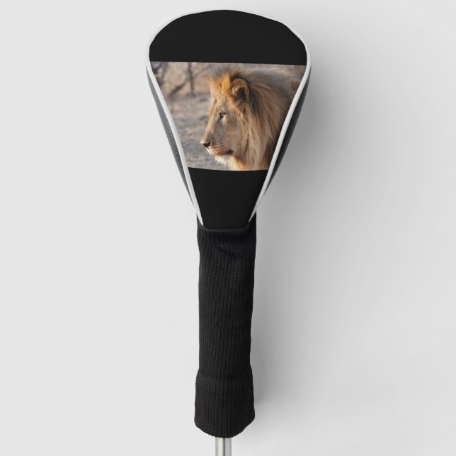 Funda Para Palo De Golf Retrato de león (Anverso)