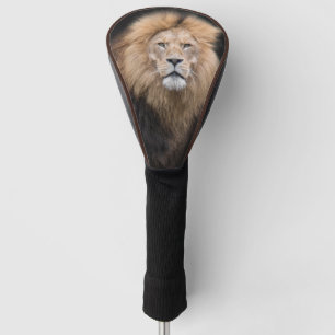 Funda Para Palo De Golf Retrato del primer de un león masculino