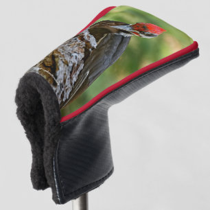 Funda Para Palo De Golf Retrato impresionante de un pájaro carpintero pile