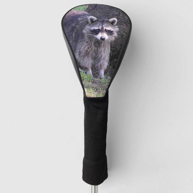 Funda Para Palo De Golf Rocky el mapache (Anverso)