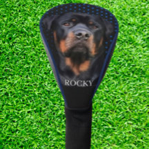  Rottweiler Azul  