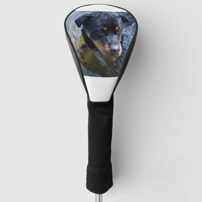 Funda Para Palo De Golf rottweiler en agua (Anverso)