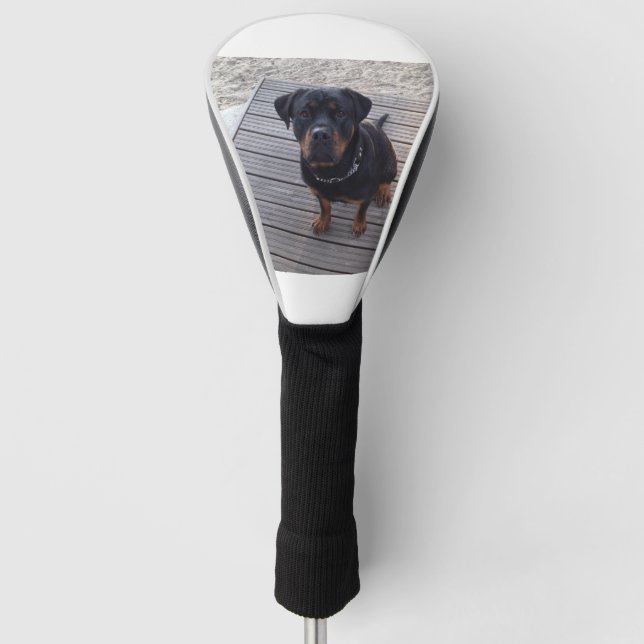 Funda Para Palo De Golf rottweiler en la playa (Anverso)