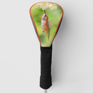 Funda Para Palo De Golf Rufous Hummingbird Sips Blueberry Blossom Néctar