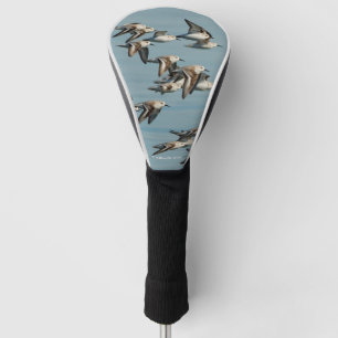Funda Para Palo De Golf Sanderlings avió vuelos en los cielos de invierno