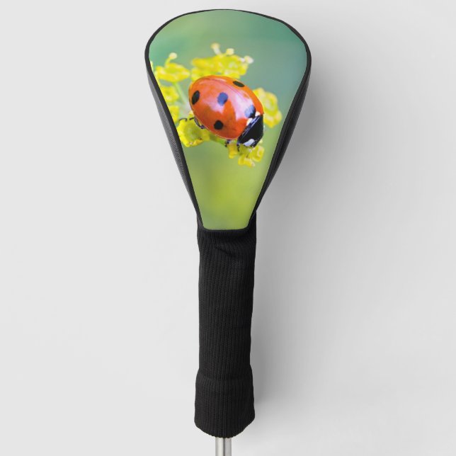 Funda Para Palo De Golf señora de arriba (Anverso)