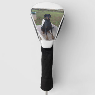 Funda Para Palo De Golf sentada del pincher del doberman