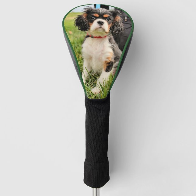 Funda Para Palo De Golf Serio (Anverso)