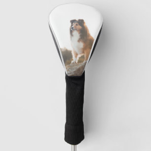 Funda Para Palo De Golf Sheltie en la protección del acantilado oída