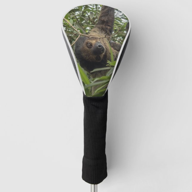 Funda Para Palo De Golf Sloth_2019001 (Anverso)