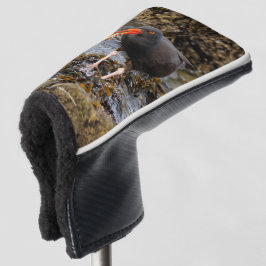Funda Para Palo De Golf Sorprendente Oystercatcher Shorebird con clam