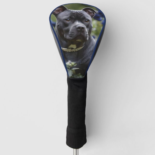 Funda Para Palo De Golf Staffordshire Bull Terrier In Blue Rosa Garden, (Anverso)