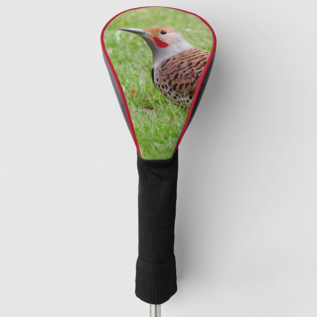 Funda Para Palo De Golf Stunning Northern Flicker Foraging in the Grass (Anverso)