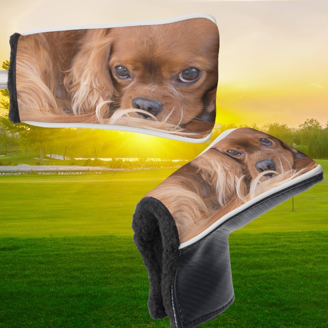 Funda Para Palo De Golf Sweet Ruby Cavalier King Charles Spaniel (Subido por el creador)