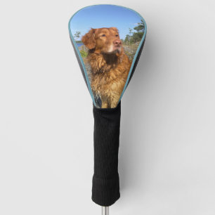 Funda Para Palo De Golf toller mojado