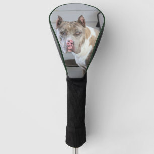 Funda Para Palo De Golf Toro de Pitt