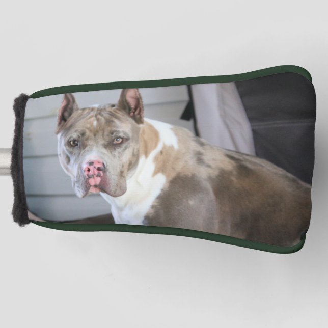 Funda Para Palo De Golf Toro de Pitt (Anverso)