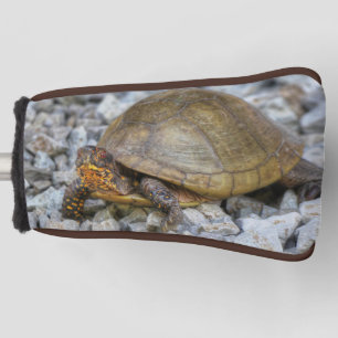 Funda Para Palo De Golf Tortuga de caja