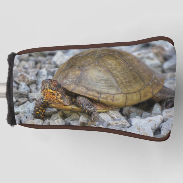 Funda Para Palo De Golf Tortuga de caja (Anverso)