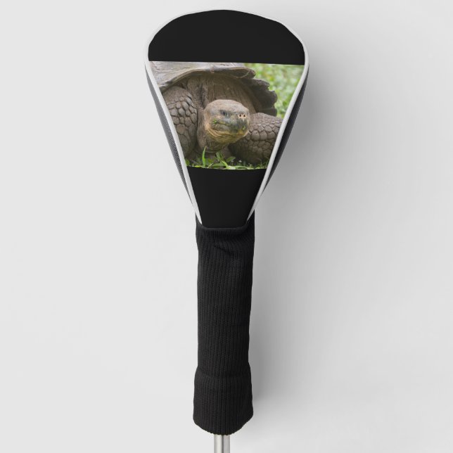 Funda Para Palo De Golf Tortuga gigante (Anverso)