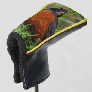 Funda Para Palo De Golf Un curioso Robin Americano en la hierba