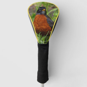 Funda Para Palo De Golf Un curioso Robin Americano en la hierba