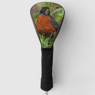 Funda Para Palo De Golf Un Robin estadounidense curioso y esperanzador