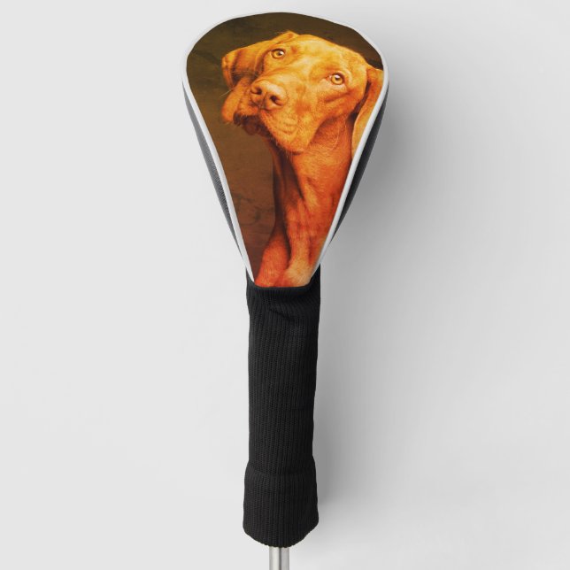 Funda Para Palo De Golf Vizsla húngara (Anverso)