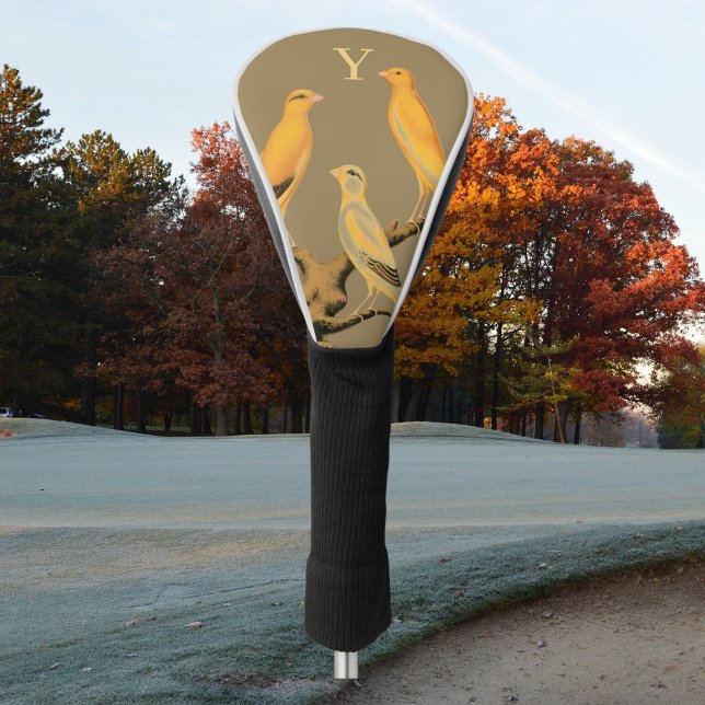 Funda Para Palo De Golf  Yorkshire  canary birds - (Subido por el creador)