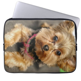 Funda Para Portátil Adorable