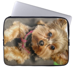 Funda Para Portátil Adorable