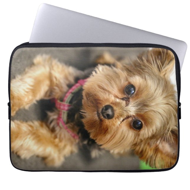 Funda Para Portátil Adorable (Frente)