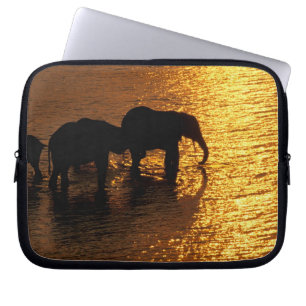 Funda Para Portátil África, Botsuana, Delta del Okavango. Africano