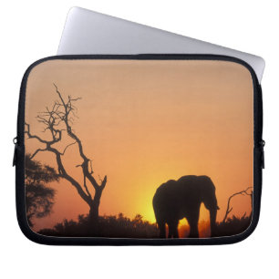 Funda Para Portátil África, Botsuana, Parque Nacional Chobe, puesta en