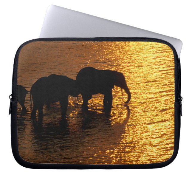 Funda Para Portátil África, Botswana, Delta del Okavango. Africano (Frente)