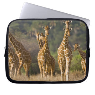 Funda Para Portátil África. Kenia. Manada de jirafas reticuladas