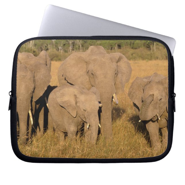 Funda Para Portátil África, Kenia, Masai Mara. Elefante Africano (Frente)