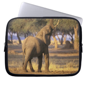 Funda Para Portátil África, Kenia, Masai Mara. Elefante (Loxodonta