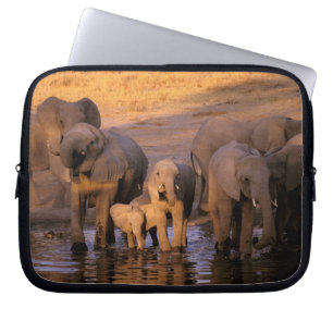 Funda Para Portátil África, Kenia, Masai Mara. Elefantes (Loxodonta)
