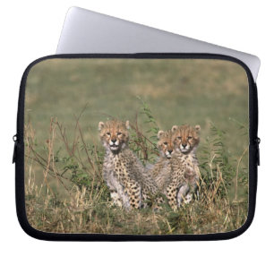 Funda Para Portátil África; Kenia; Masai Mara; Tres cachorros de guepa
