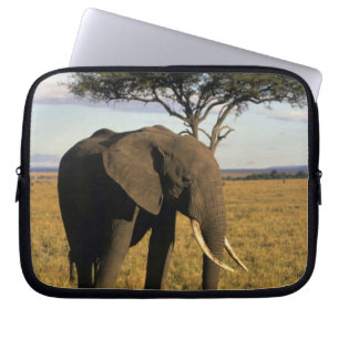 Funda Para Portátil África, Kenia, Masai Mara. Un elefante en el