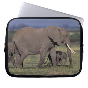 Funda Para Portátil África, Kenia, Parque Nacional de Amboseli. Africa
