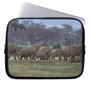 Funda Para Portátil África, Kenia, Parque Nacional de Amboseli. Africa