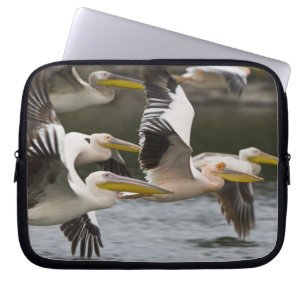 Funda Para Portátil África. Kenia. Pelícanos blancos en vuelo en el la