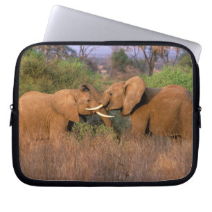 Funda Para Portátil África, Kenia, Samburu. Desafío de elefante