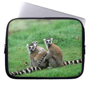 Funda Para Portátil África, Madagascar, Antananarivo, Tsimbazaza