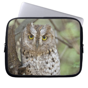 Funda Para Portátil África. Tanzania. Autillo africano en Tarangire 2