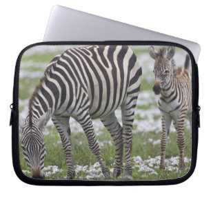 Funda Para Portátil África. Tanzania. Cebra madre y cría
