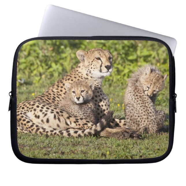 Funda Para Portátil África. Tanzania. Madre y cachorros chitas 2 (Frente)