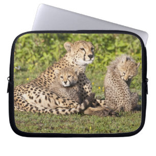 Funda Para Portátil África. Tanzania. Madre y crías de guepardo 2